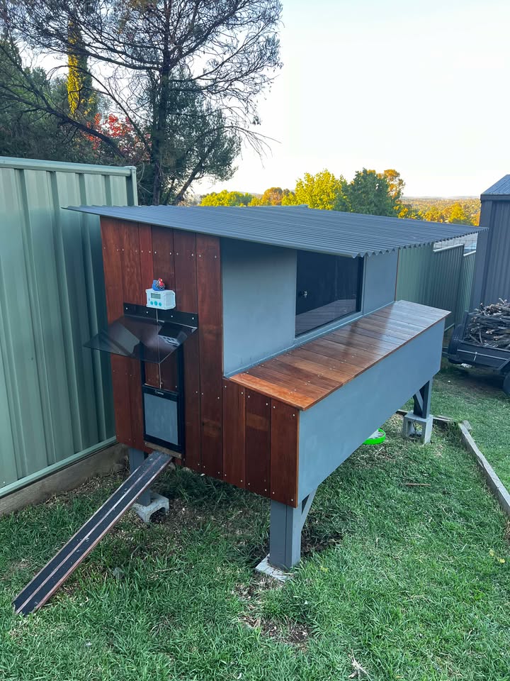 Architectural chicken coop with a Safe Coop® automatic chicken door.