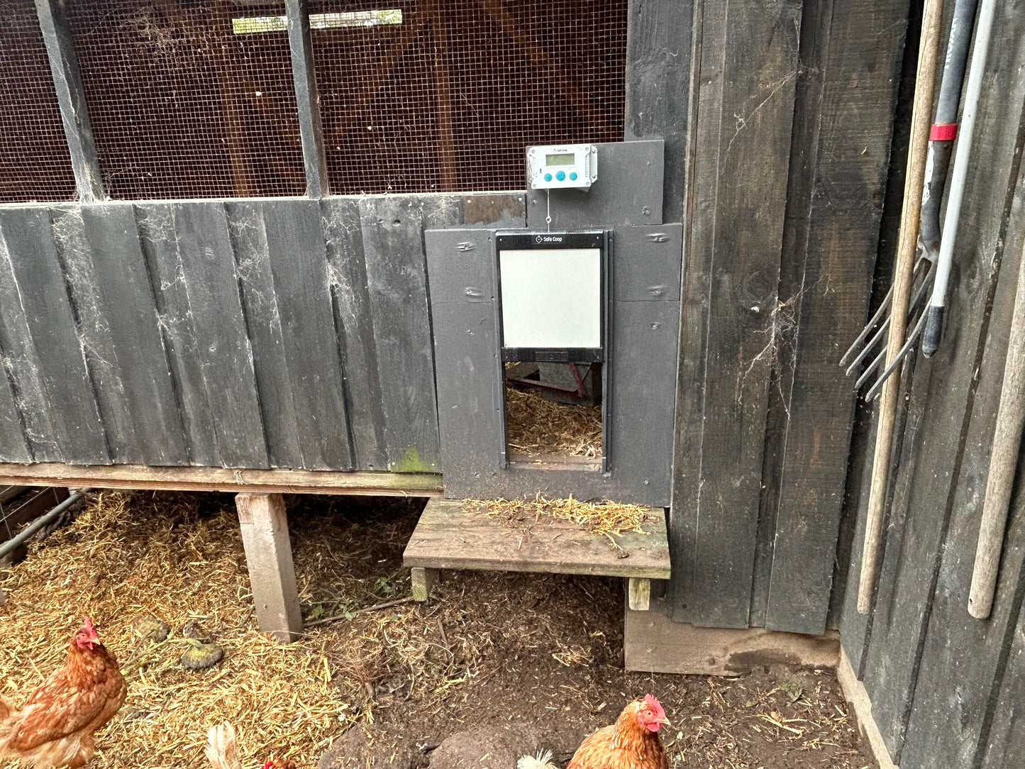 Safe Coop® automatic chicken door installed on a large Australian chicken coop