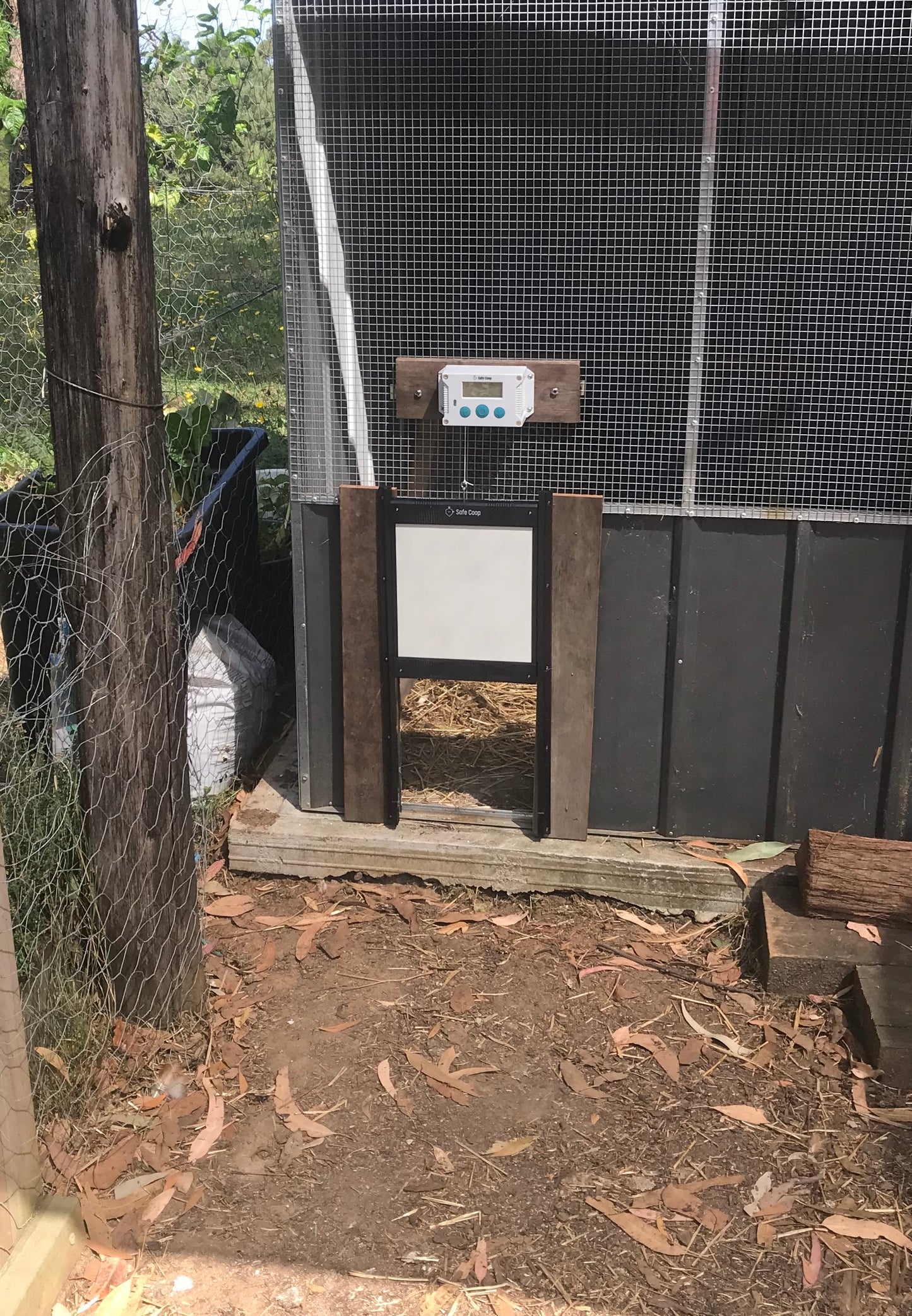 Safe Coop® automatic chicken door installed on an aviary style chicken coop.