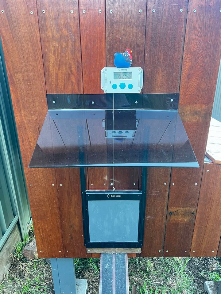 Safe Coop® automatic chicken door installed on a hand-built hardwood timber chicken coop.