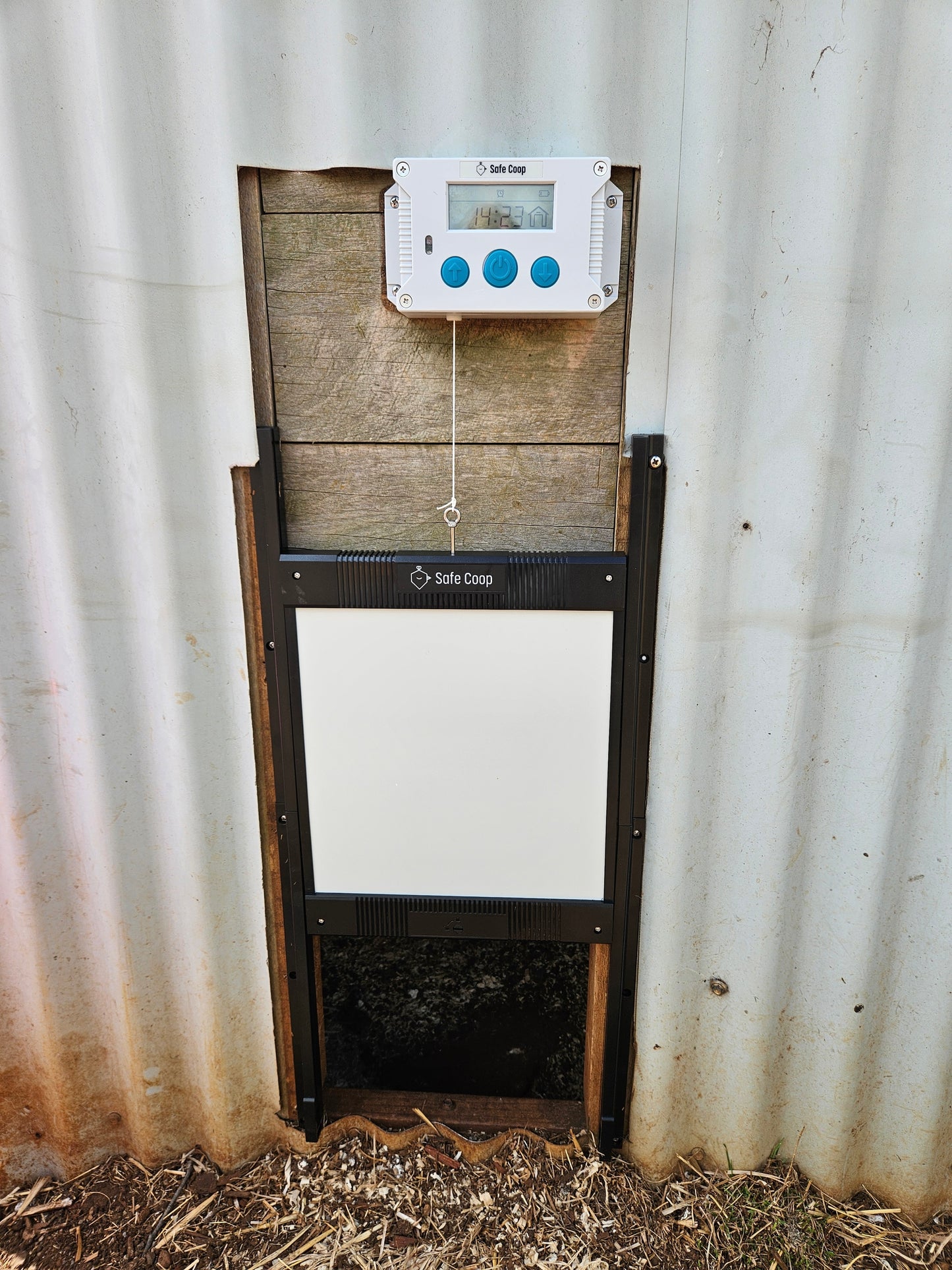 Safe-Coop automatic chicken door set to open halfway up the door runners.
