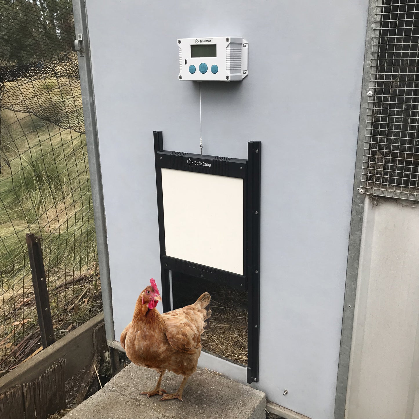 Safe Coop® automatic chicken door with an auto locking door.