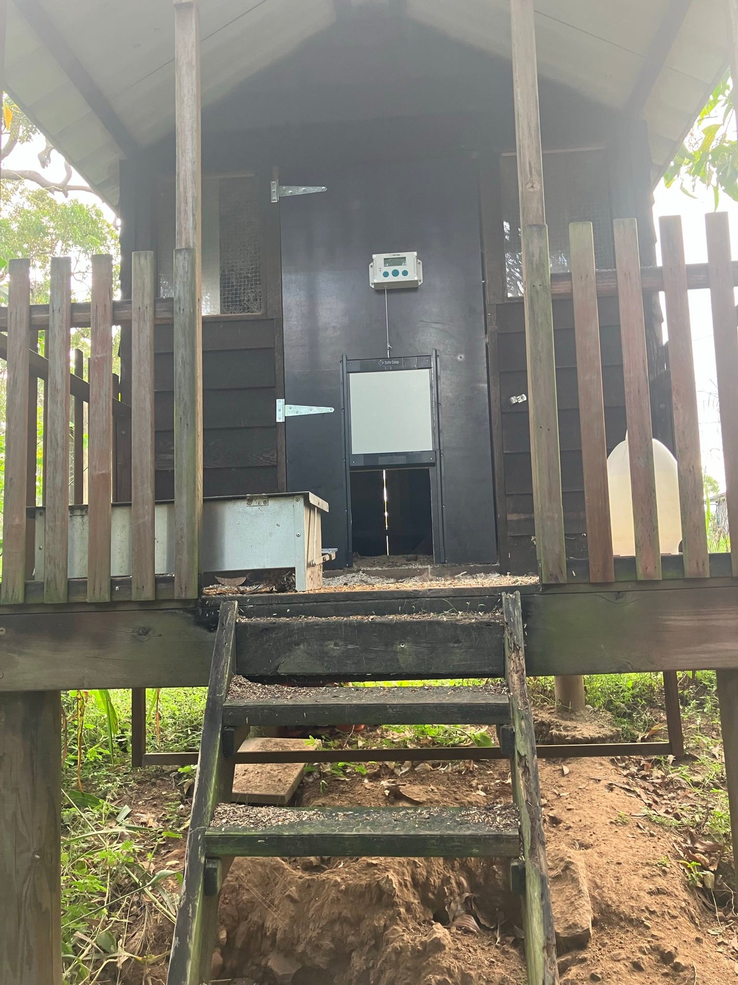 Safe Coop® automatic chicken door with the door open