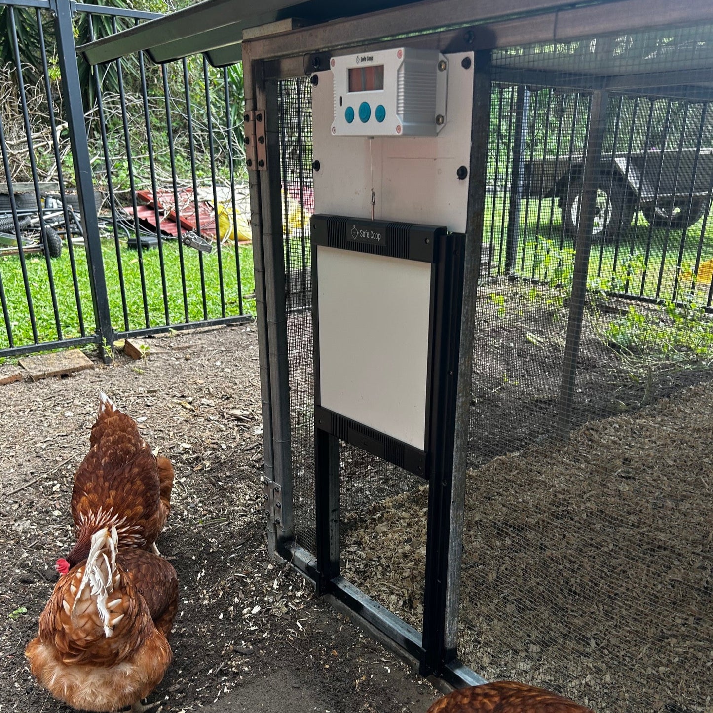 Side view of the Safe Coop® automatic chicken door.