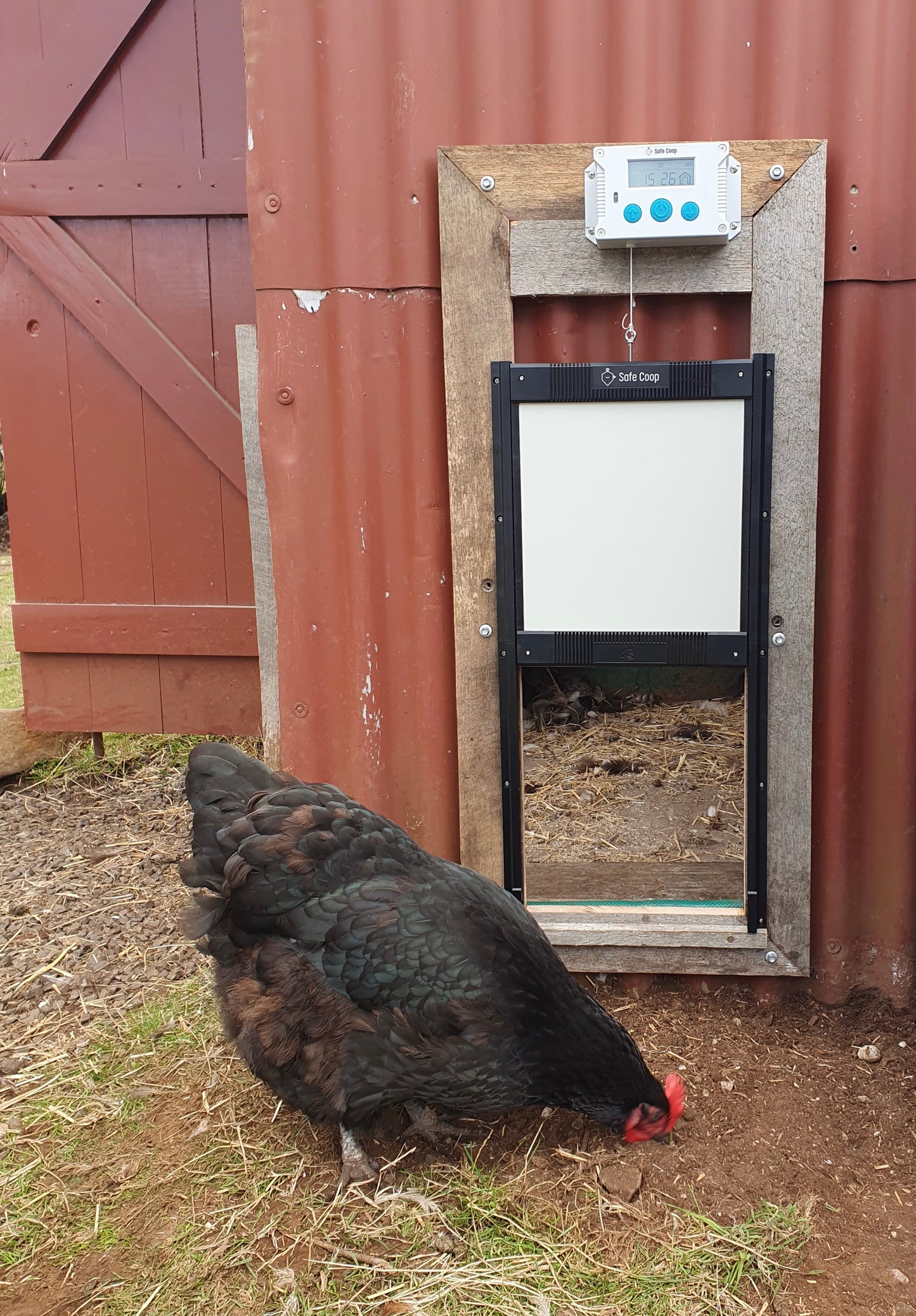 Safe Coop® automatic chicken door