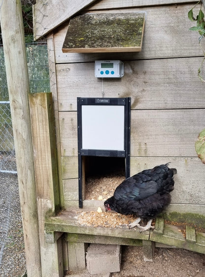 Safe Coop® automatic chicken door